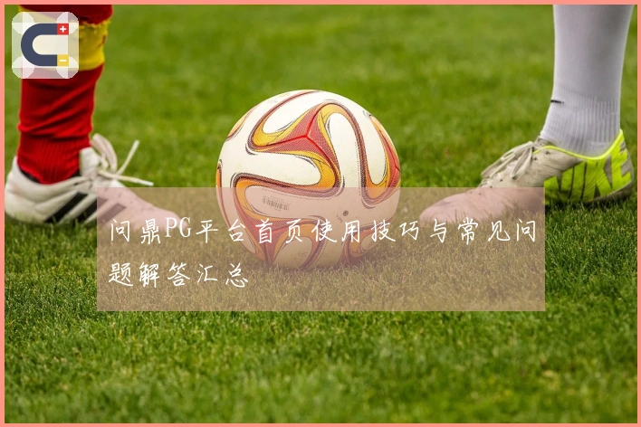 问鼎PG平台首页使用技巧与常见问题解答汇总